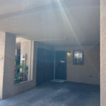 palm_06